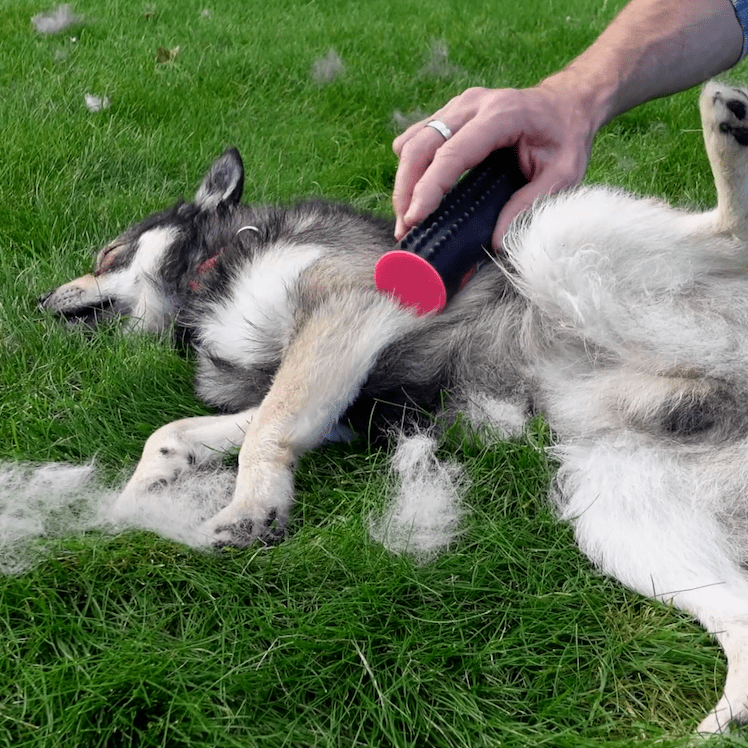 FurMaster™ 3-in-1 De Shedding Unterwolle & Fellbürste