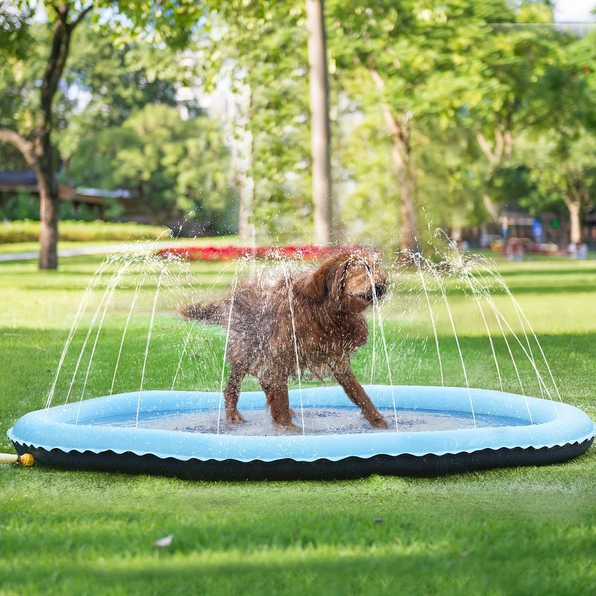 Dog Splash Pad ™