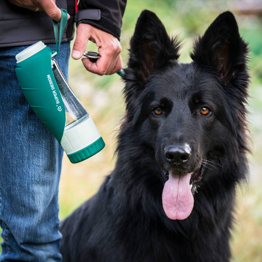 Trinkflasche für Hunde