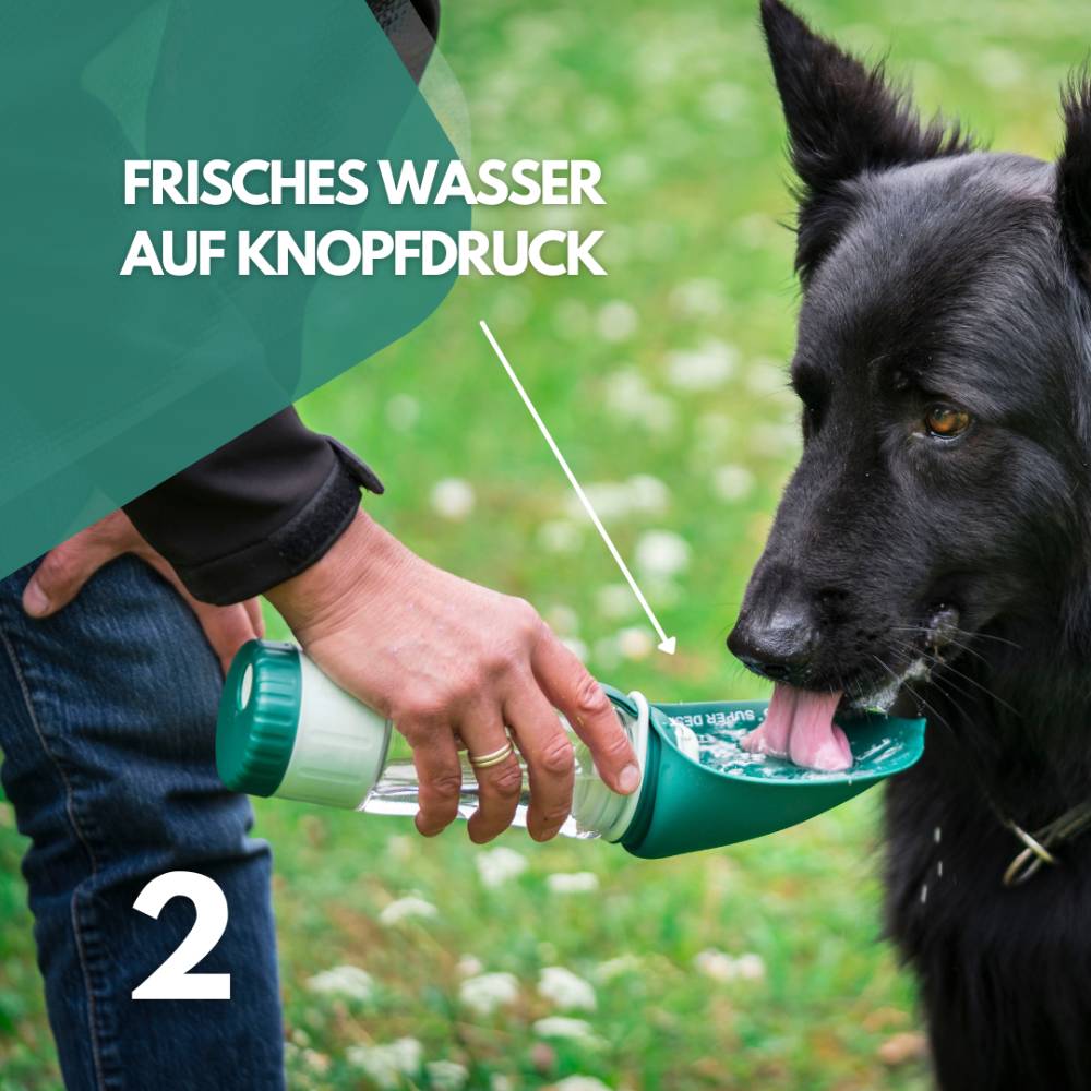 Trinkflasche für Hunde